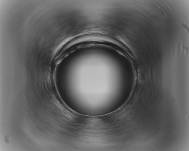 X0000099471452200805161059