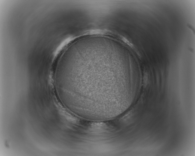 X0000099471454200805161059