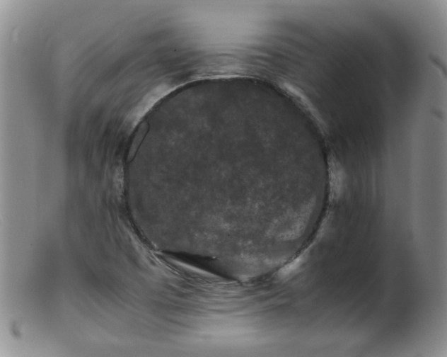 X0000099471457200805161059