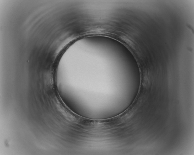 X0000099471458200805161059