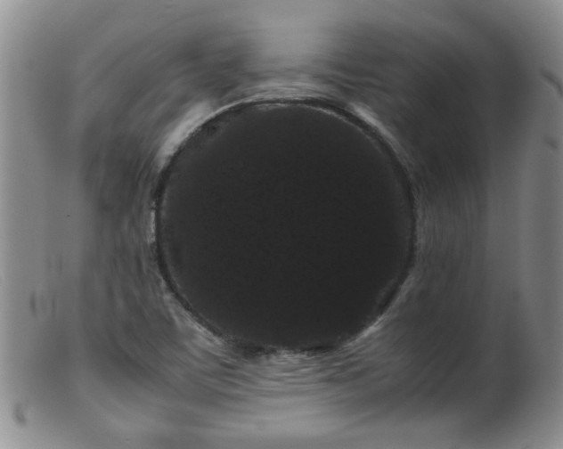 X0000099471459200805161059