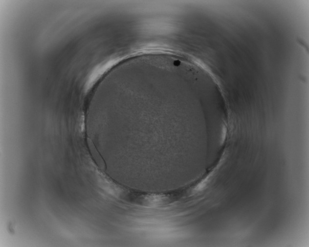 X0000099471461200805161059