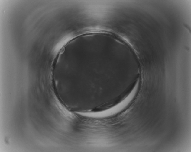X0000099471463200805161059