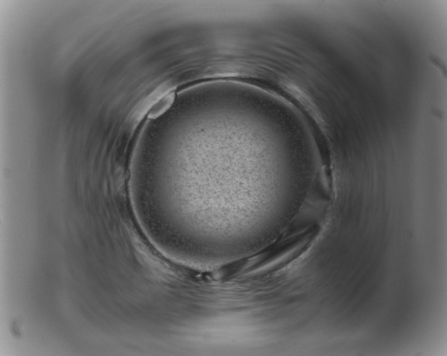 X0000099471465200805161059