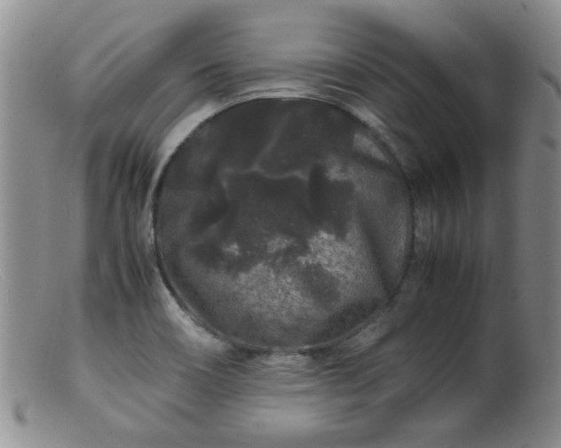 X0000099471466200805161059