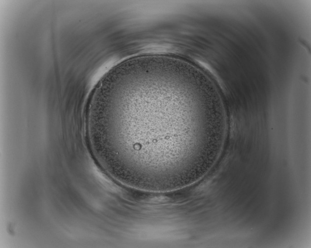 X0000099471467200805161059