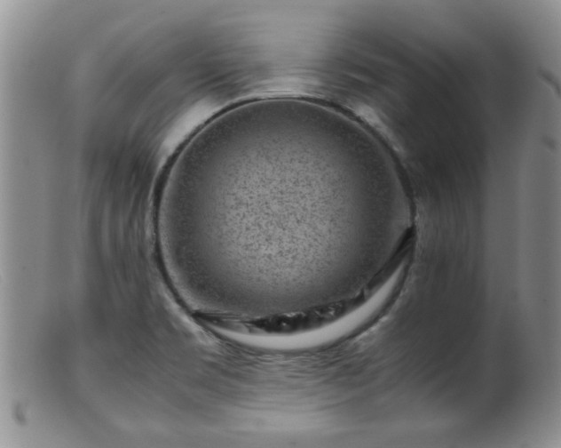 X0000099471469200805161059