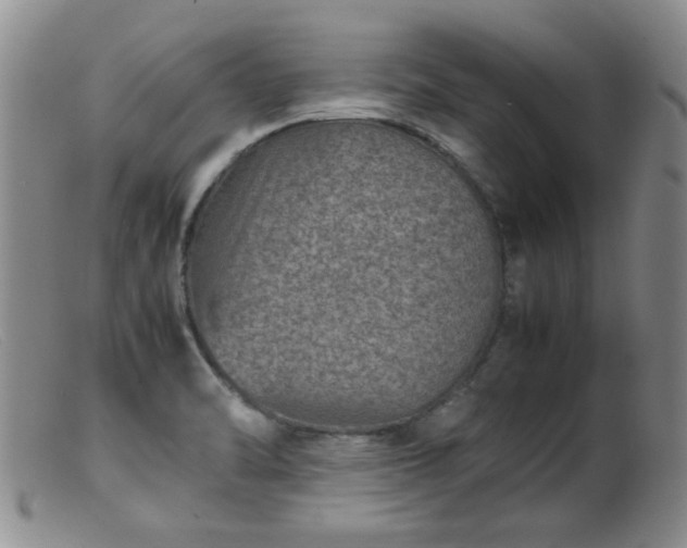 X0000099471470200805161059