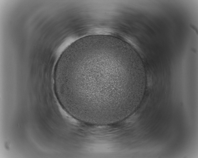 X0000099471471200805161059