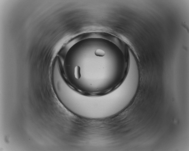 X0000099471472200805161059