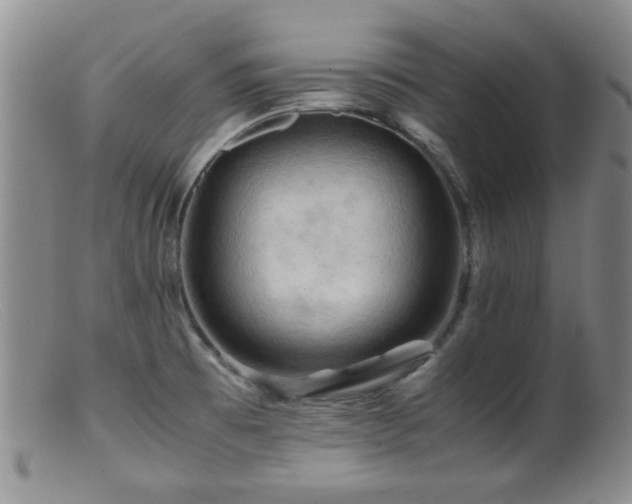 X0000099471473200805161059