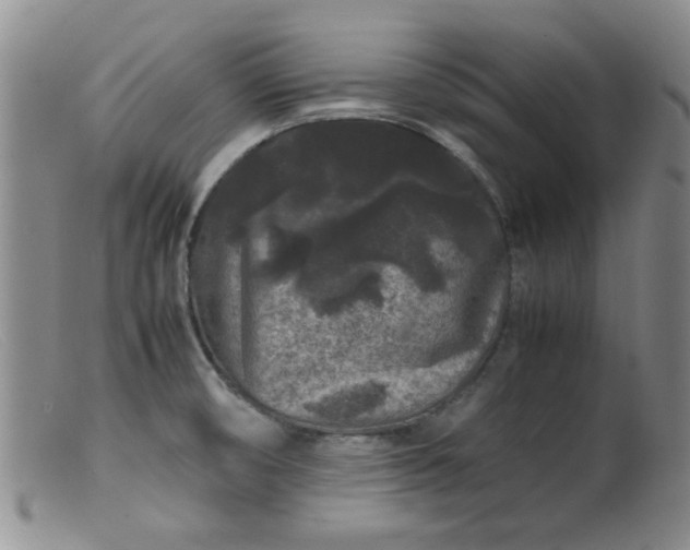 X0000099471474200805161059