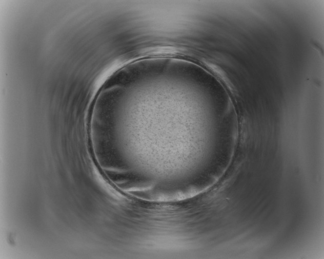 X0000099471475200805161059