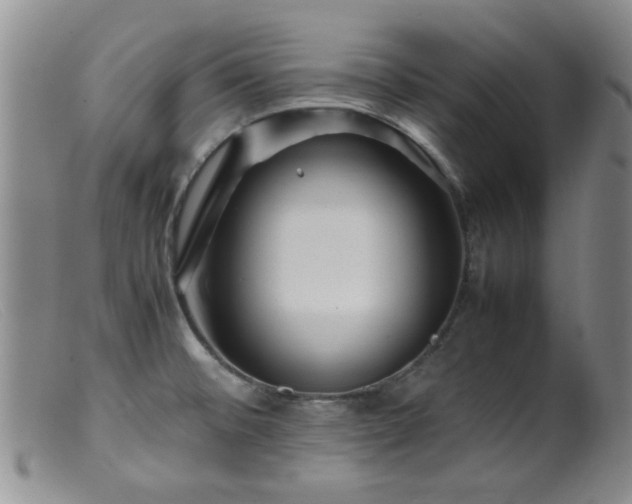 X0000099471476200805161059