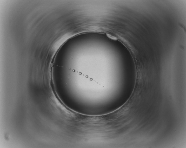 X0000099471479200805161059