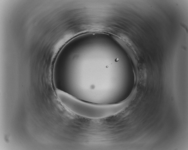 X0000099471480200805161059
