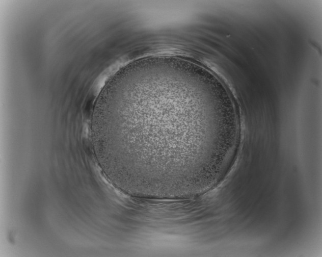 X0000099471481200805161059
