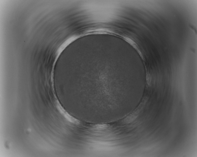X0000099471482200805161059