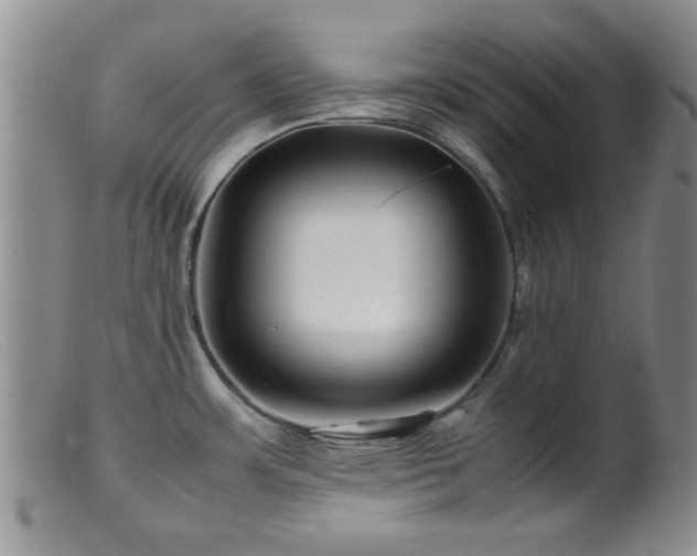 X0000099471483200805161059