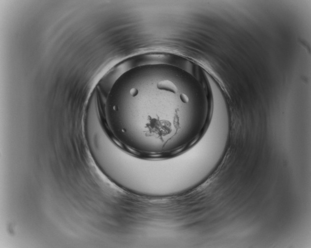 X0000099471484200805161059