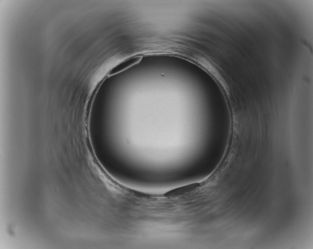 X0000099471485200805161059