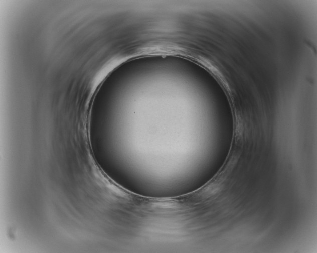 X0000099471486200805161059
