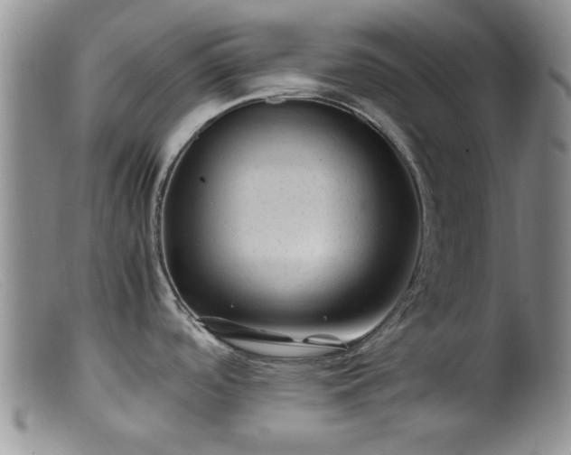 X0000099471488200805161059