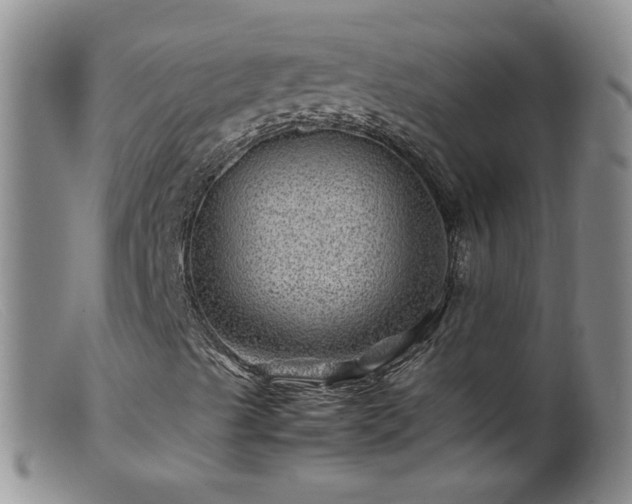 X0000099471489200805161058