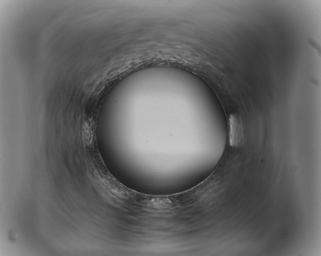 X0000099471491200805161058