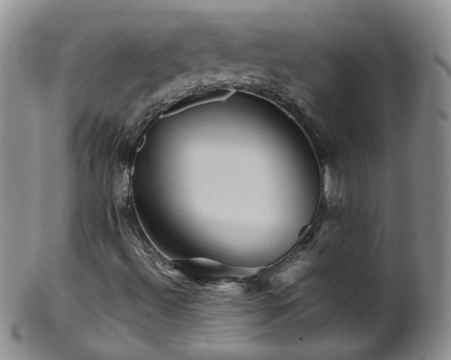 X0000099471492200805161058