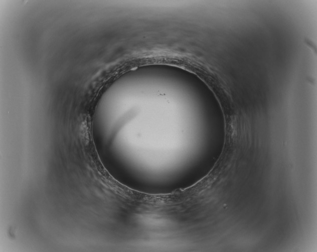 X0000099471493200805161058