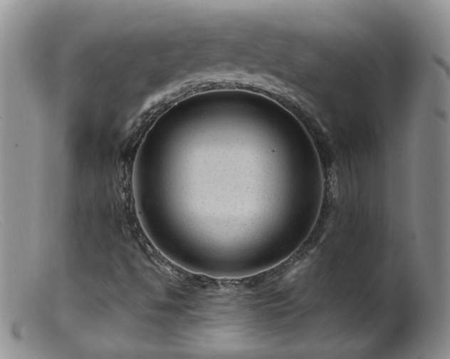 X0000099471494200805161058