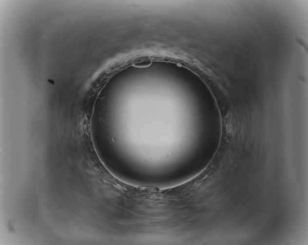 X0000099471495200805161058