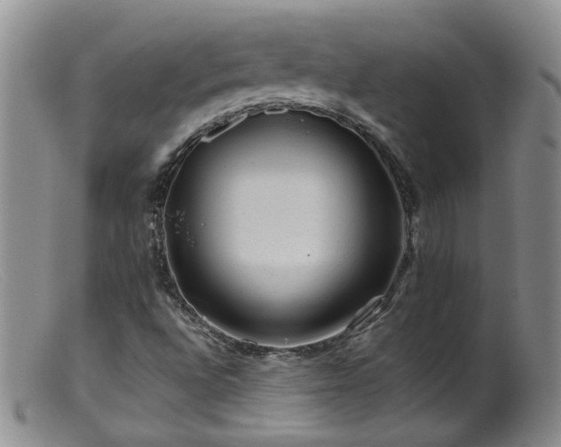 X0000099471496200805161058