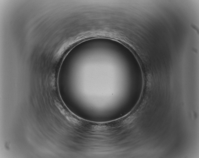 X0000099471499200805161058