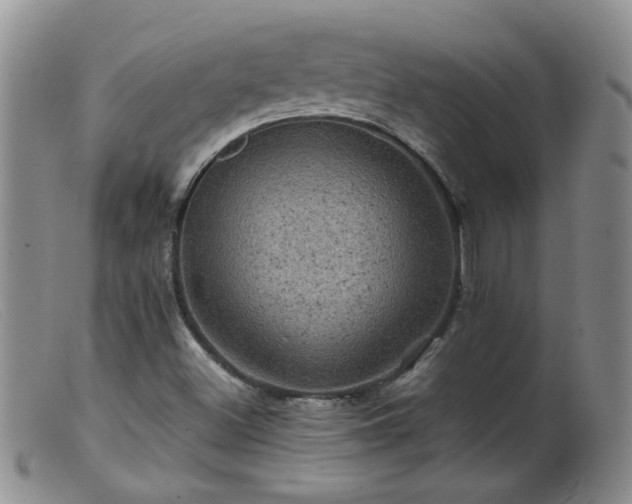 X0000099471500200805161058