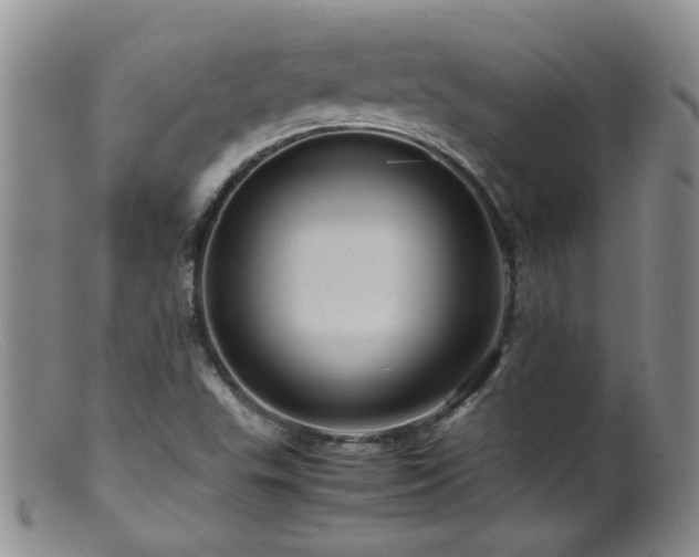 X0000099471503200805161059