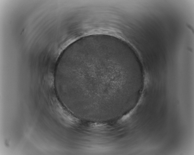 X0000099471505200805161059