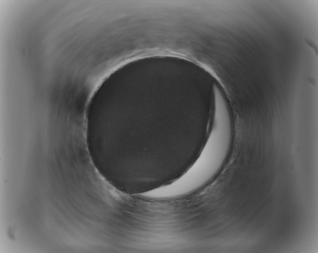 X0000099471508200805161059