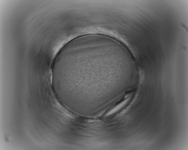 X0000099471509200805161059
