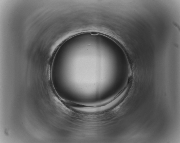 X0000099471510200805161059