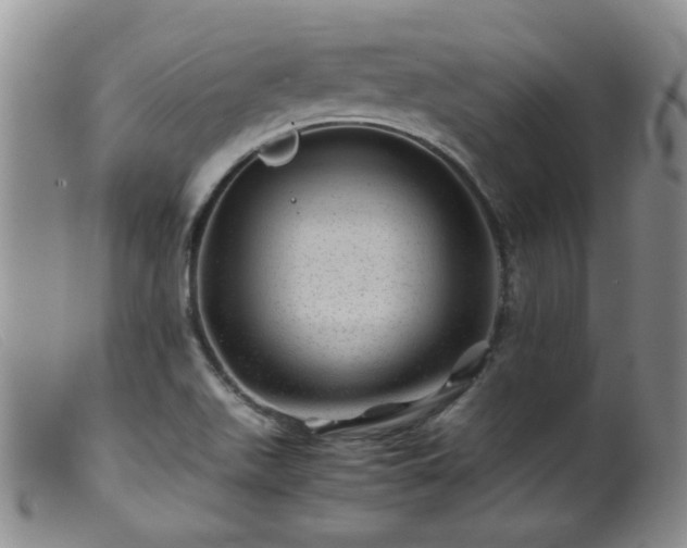 X0000099471511200805161059