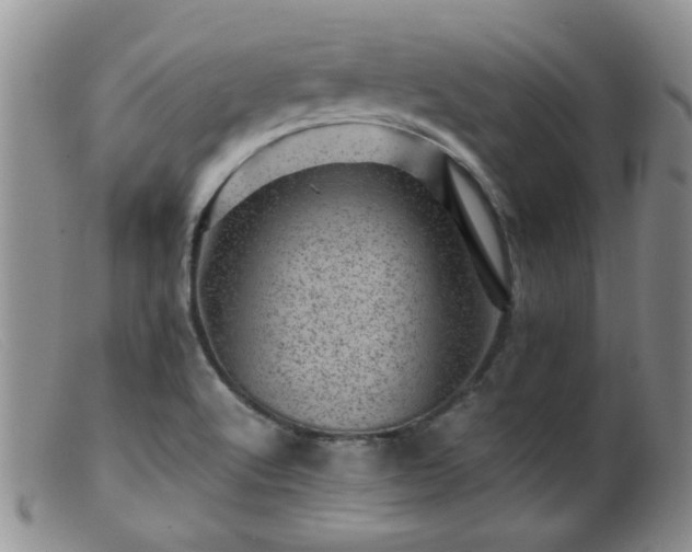 X0000099471512200805161059