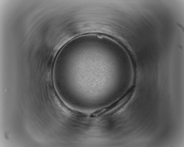 X0000099471513200805161059