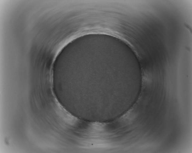 X0000099471514200805161059