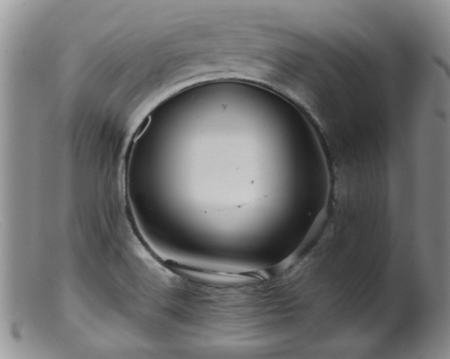 X0000099471516200805161059