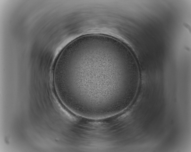 X0000099471517200805161059