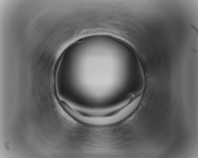 X0000099471518200805161059