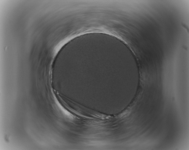 X0000099471519200805161059