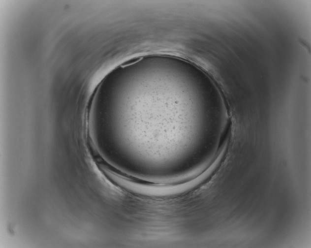 X0000099471520200805161059